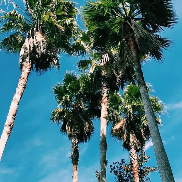 Meet your Posher, Caleigh - Picture 1 of 1